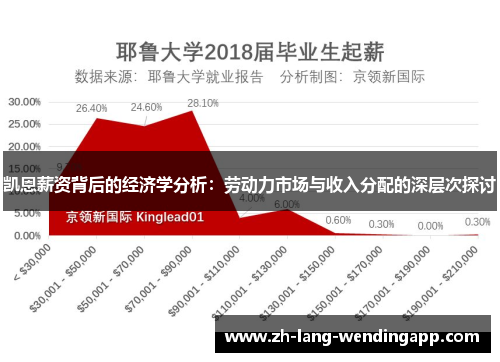 凯恩薪资背后的经济学分析：劳动力市场与收入分配的深层次探讨