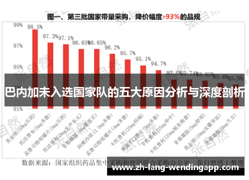 巴内加未入选国家队的五大原因分析与深度剖析