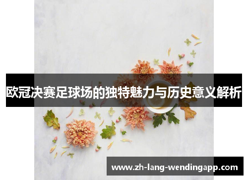 欧冠决赛足球场的独特魅力与历史意义解析