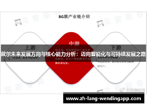 戴尔未来发展方向与核心能力分析：迈向智能化与可持续发展之路