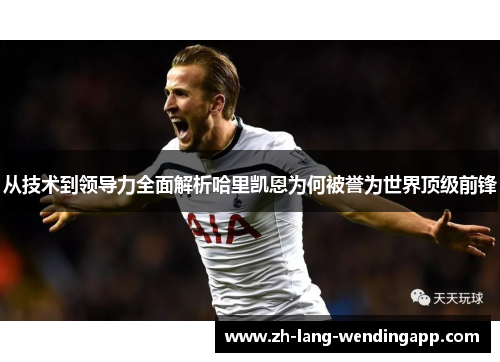 从技术到领导力全面解析哈里凯恩为何被誉为世界顶级前锋