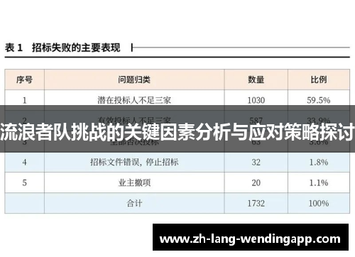 流浪者队挑战的关键因素分析与应对策略探讨