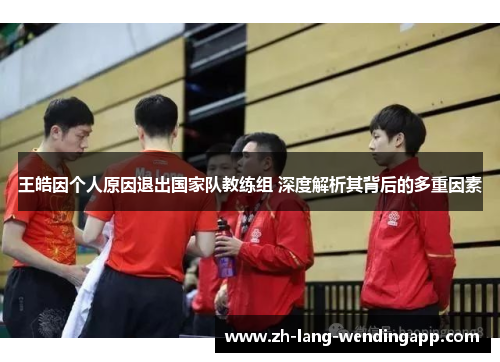 王皓因个人原因退出国家队教练组 深度解析其背后的多重因素