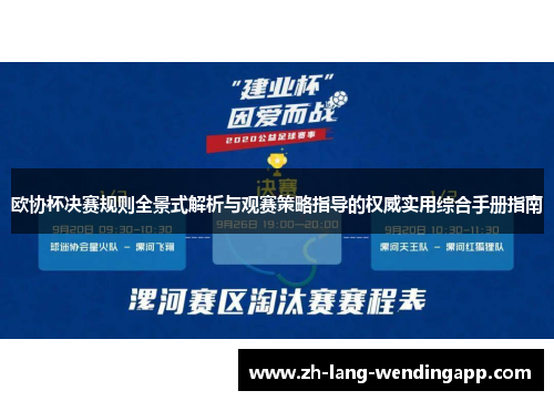 欧协杯决赛规则全景式解析与观赛策略指导的权威实用综合手册指南