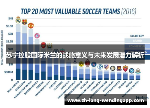 苏宁控股国际米兰的战略意义与未来发展潜力解析